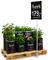 Pallestativ/Hylser